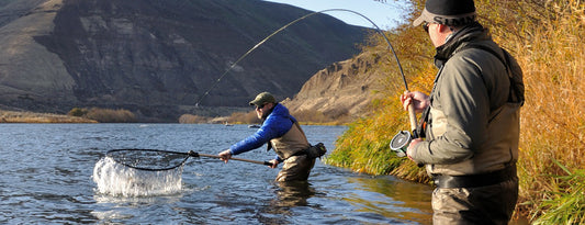 2023 Adult Salmon Polulation Count-Goodwynn's