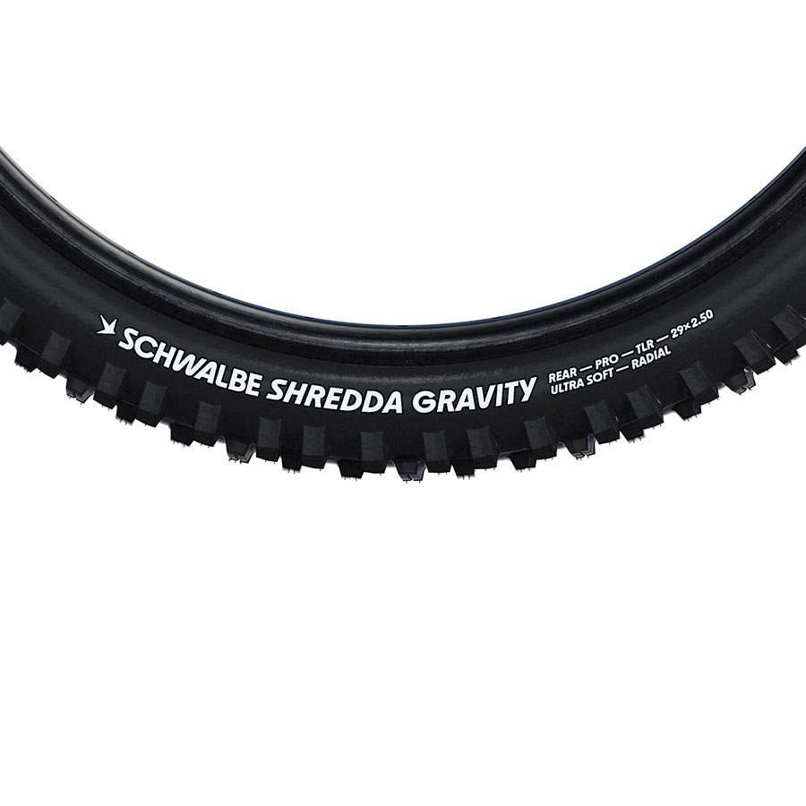 Schwalbe-Goodwynn's