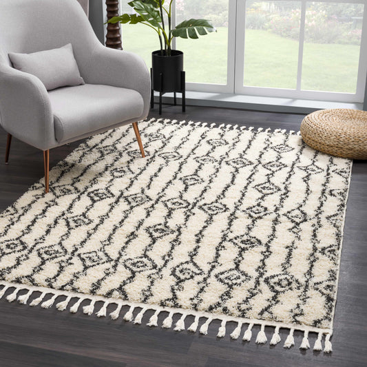 Bayanga Plush Area Rug-Goodwynn's