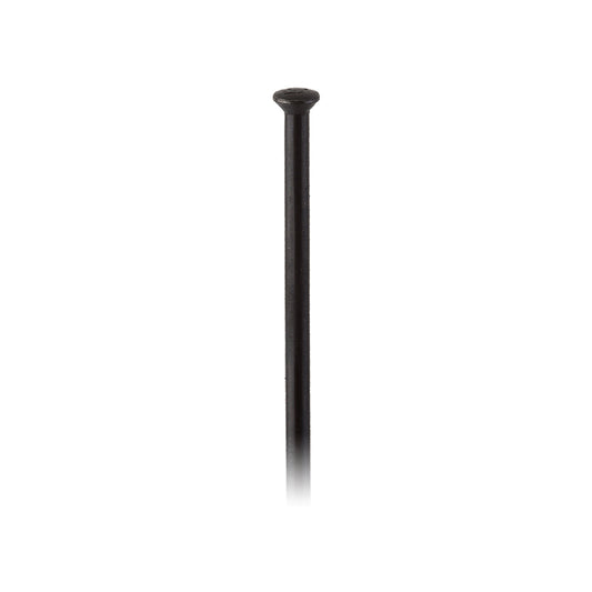 Dt swiss Champion Straight Pull Straight Pull 2.0 (14G) 292mm Box of 100 Black No-Goodwynn's