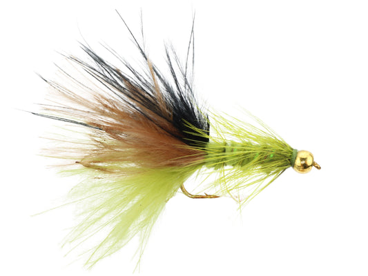 Wild Water Fly Fishing Bead Head Tri-Color Wooly Bugger, Size 10, Qty. 6-Goodwynn's