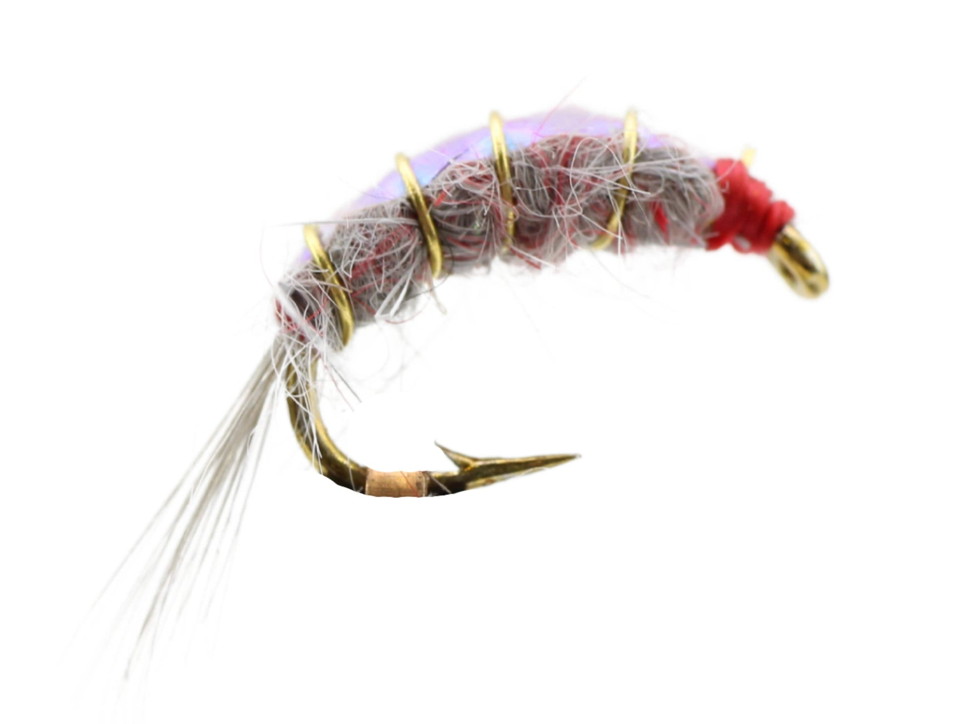 Wild Water Fly Fishing Gooey Big Horn Scud, Size 16, Qty. 6-Goodwynn&#39;sGoodwynn&#39;s