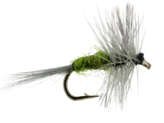 Wild Water Fly Fishing Blue Winged Olive, Size 16, Qty. 6-Goodwynn's