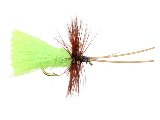 Wild Water Fly Fishing Chartreuse Goddard Caddis, Size 12, Qty. 6-Goodwynn's