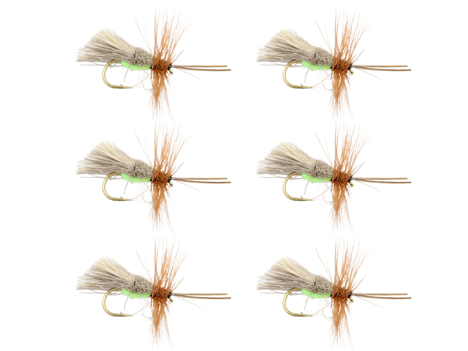 Wild Water Fly Fishing Goddard Caddis with Chartreuse Underside, Size 12, Qty. 6-Goodwynn&#39;sGoodwynn&#39;s