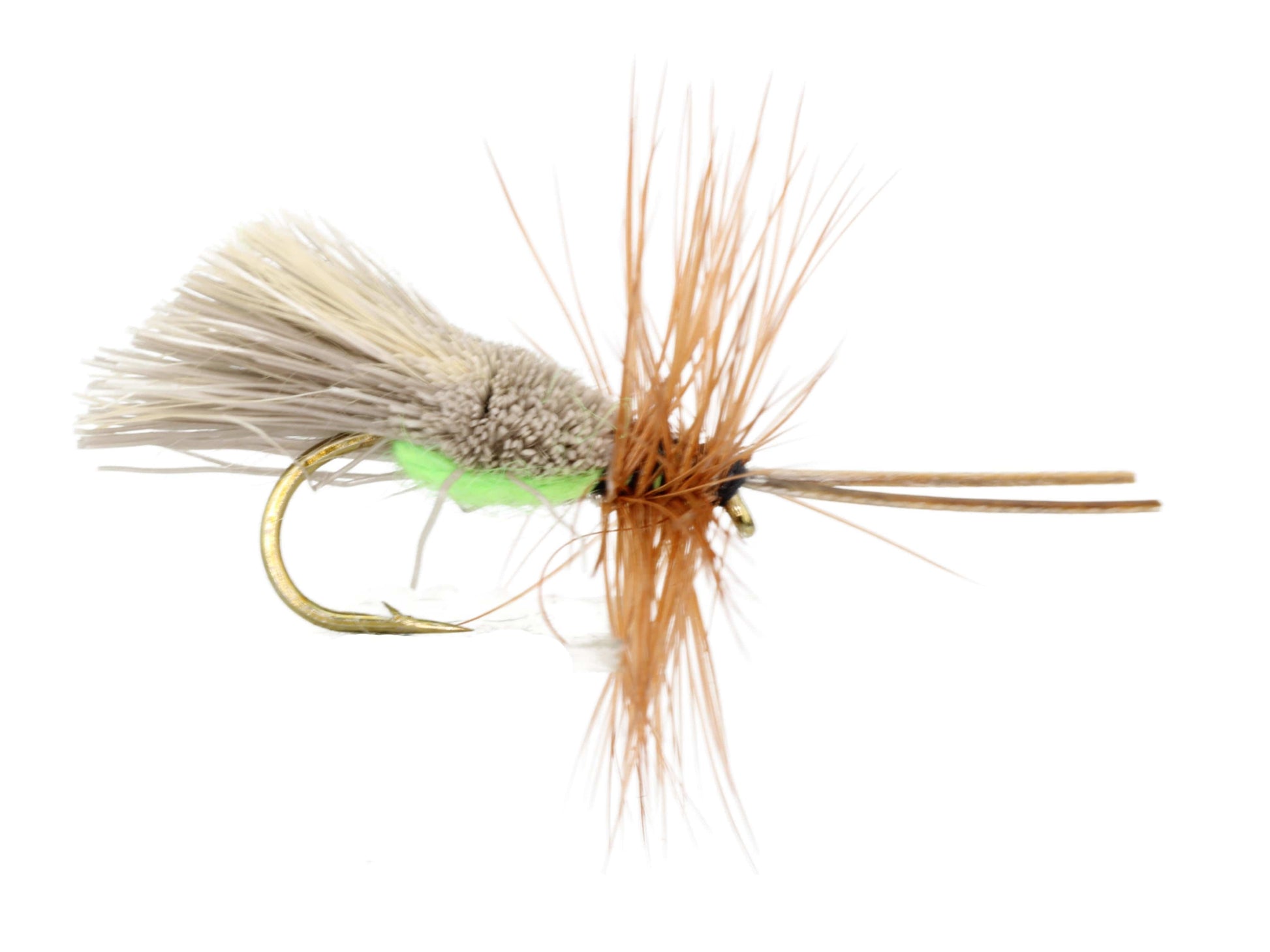 Wild Water Fly Fishing Goddard Caddis with Chartreuse Underside, Size 12, Qty. 6-Goodwynn&#39;sGoodwynn&#39;s