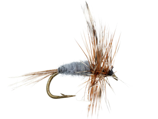 Wild Water Fly Fishing Gray Adams, Size 12, Qty. 6-Goodwynn's