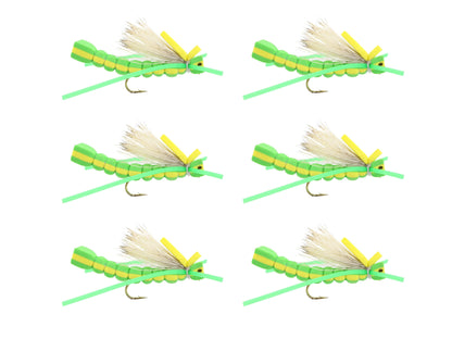 Wild Water Fly Fishing Foam Green Grasshopper, Size 8, Qty. 6