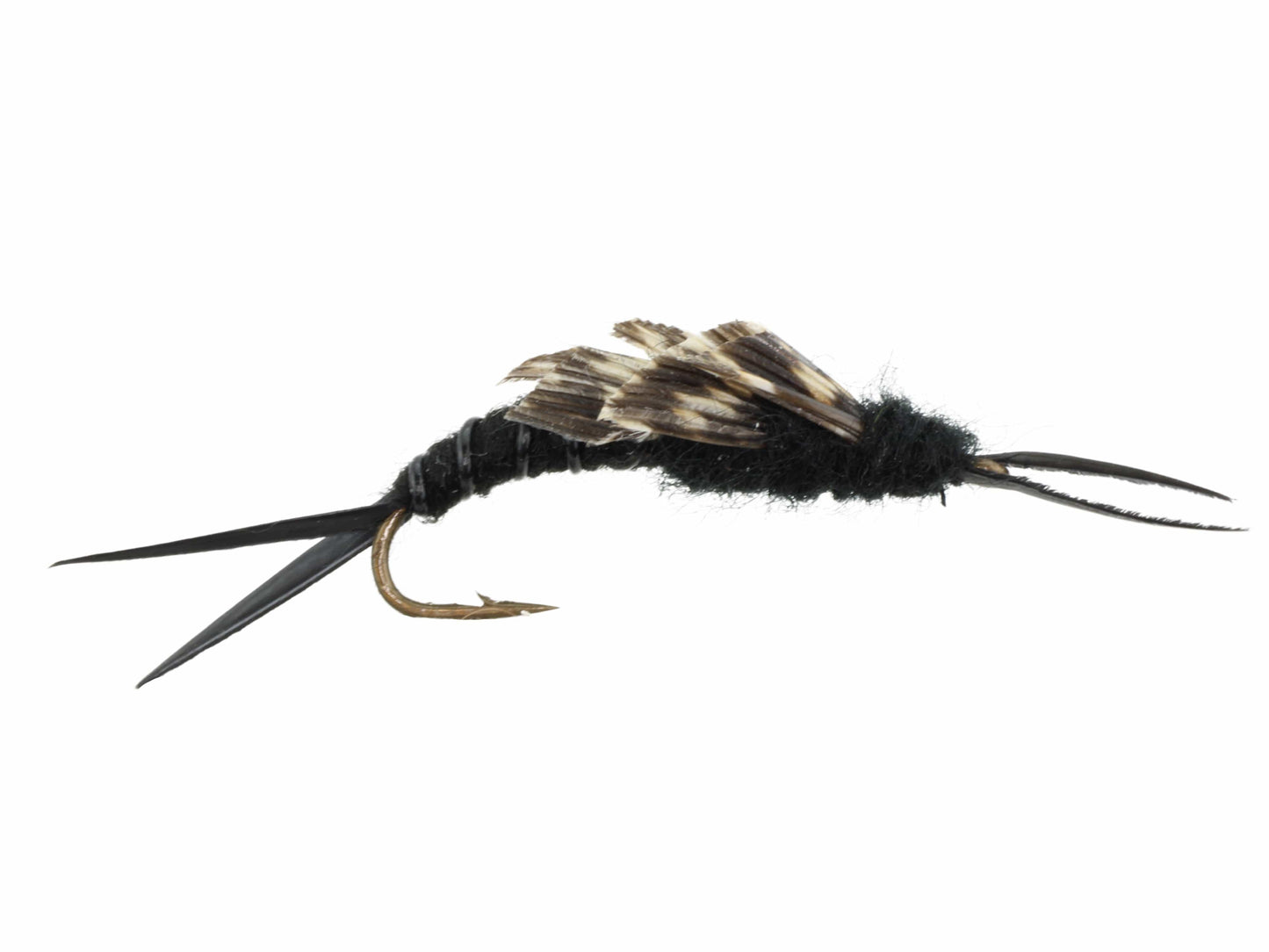 Wild Water Fly Fishing Kaufman Stonefly, Size 8, Qty. 6