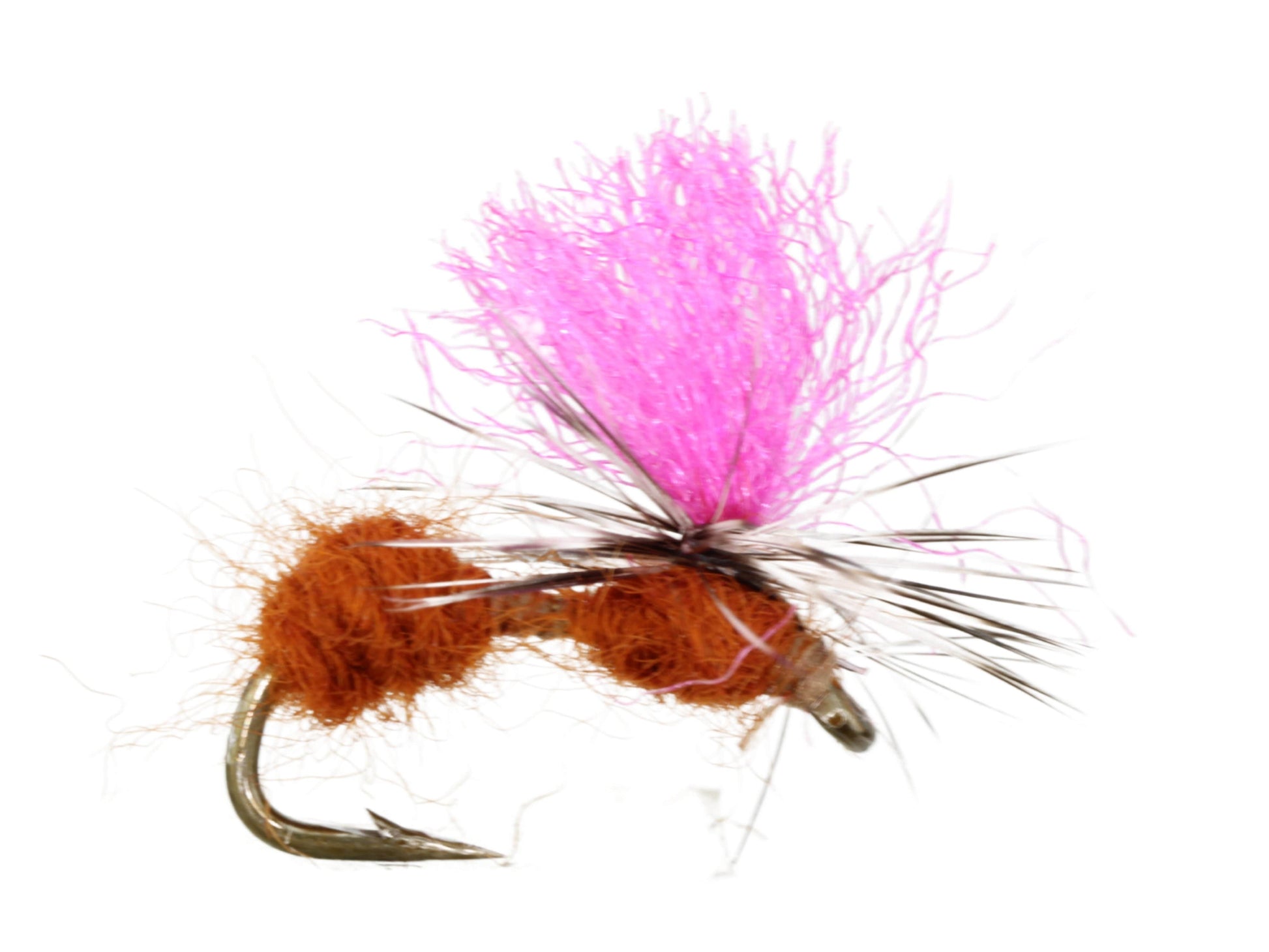 Wild Water Fly Fishing Mobile Ant, Size 14, Qty. 6-Goodwynn&#39;sGoodwynn&#39;s