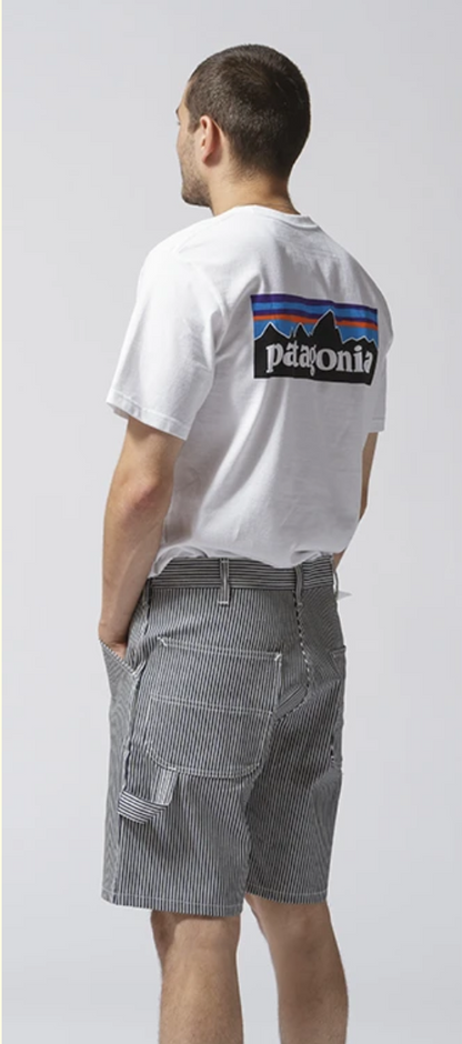 80'S PAINTER SHORT (HICKORY STRIPE) 3775