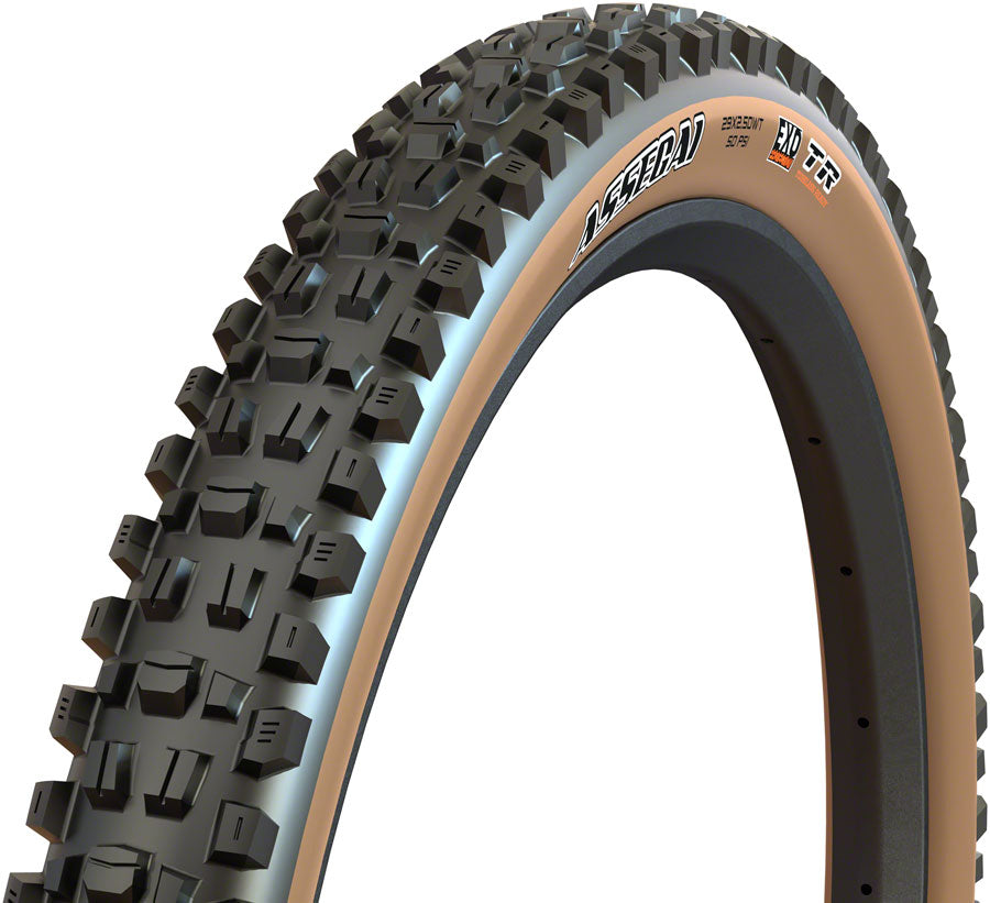 Maxxis Assegai Tire - 27.5 x 2.5 Tubeless Folding Black/Tan EXO-Goodwynn&#39;sGoodwynn&#39;s