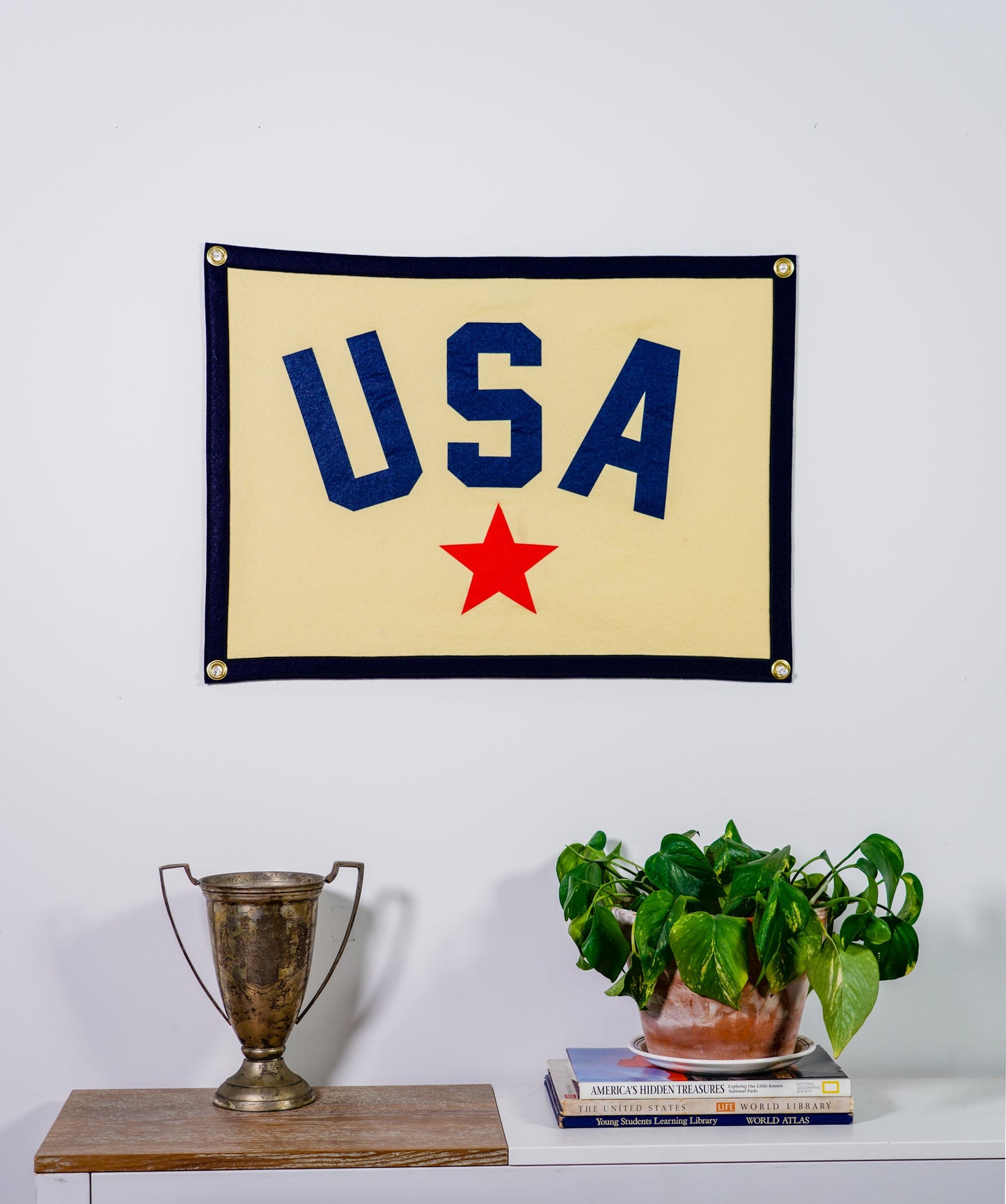 USA Camp Flag