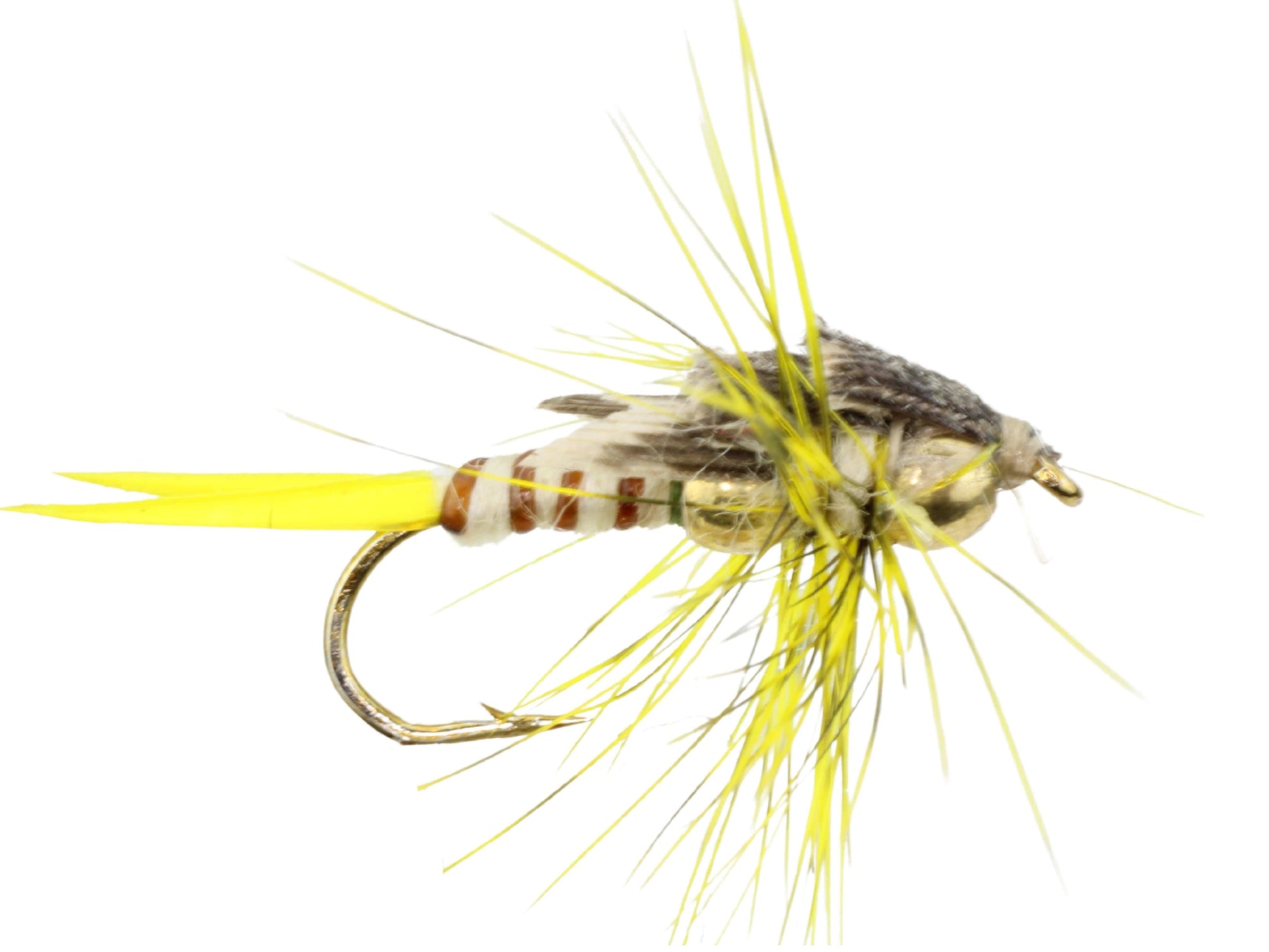 Wild Water Fly Fishing Beaded Yellow Stonefly, size 12, qty. 6-Goodwynn&#39;sGoodwynn&#39;s