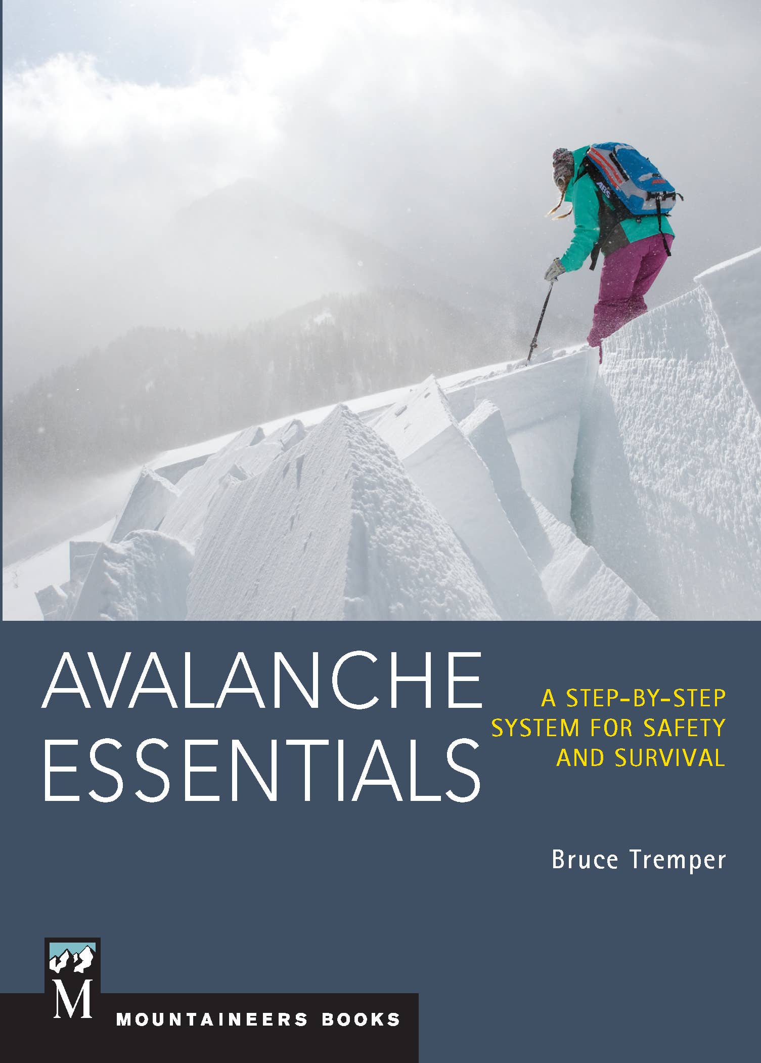 Mountaineers Books - Avalanche Essentials-Goodwynn&#39;sGoodwynn&#39;s