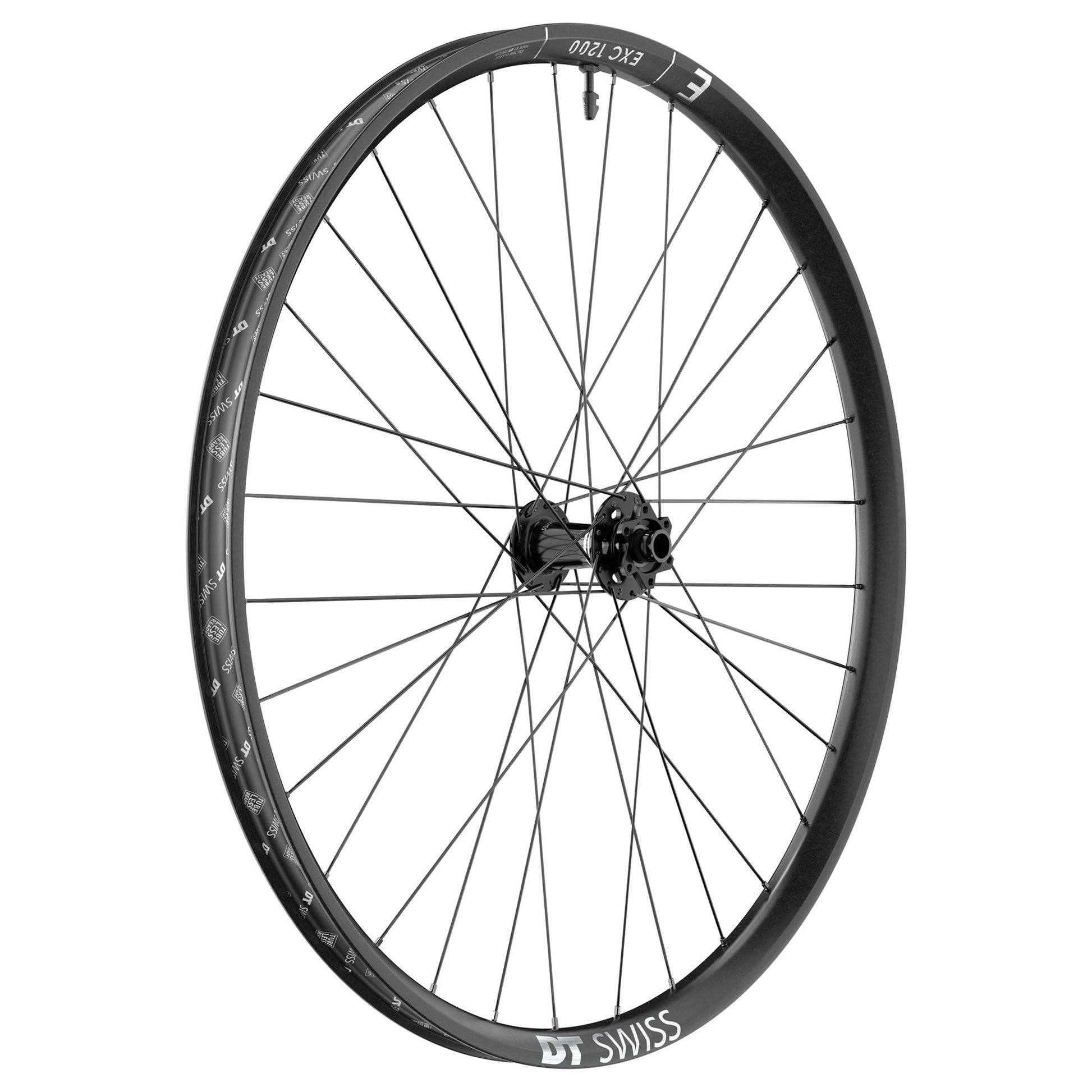 DT Swiss EXC 1200 Classic Front Wheel - 29" 15 x 110mm 6-Bolt Black-Goodwynn&#39;sGoodwynn&#39;s