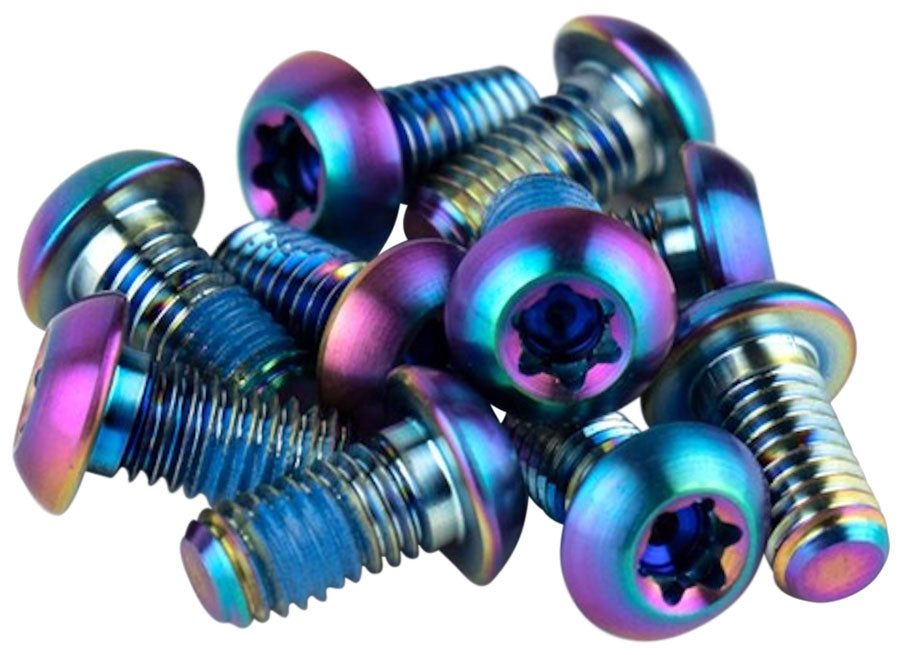 SRAM Titanium T25 Rotor Bolt Kit - Rainbow Set of 12-Goodwynn&#39;sGoodwynn&#39;s