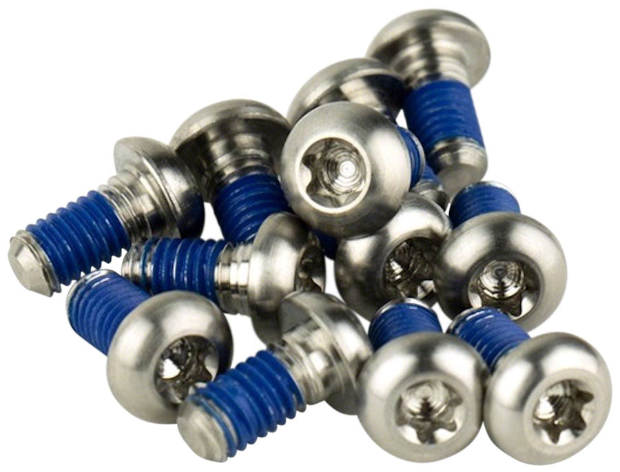 SRAM Titanium T25 Rotor Bolt Kit - Silver Set of 12