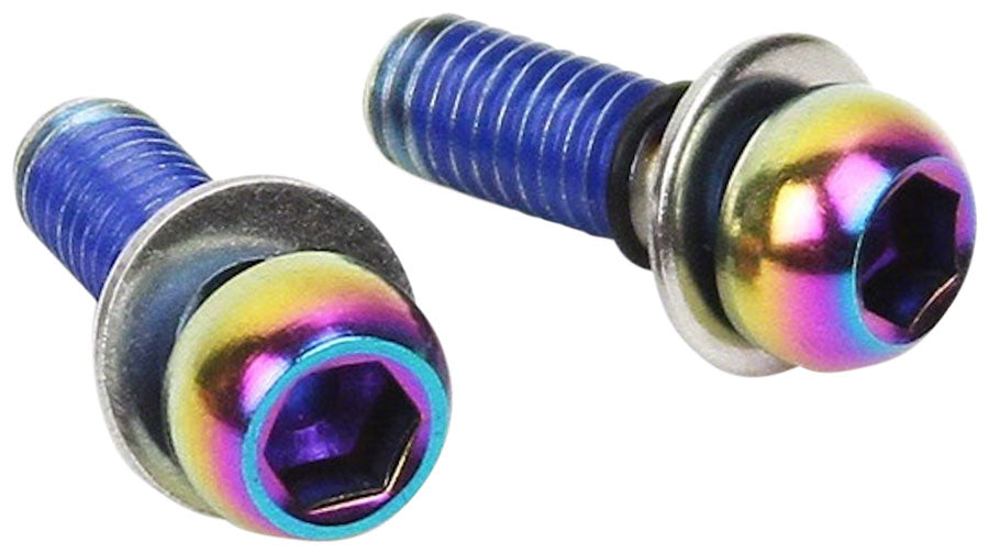 SRAM Caliper Mounting Hardware Direct Standard Mount - Stainless Rainbow Bolts-Goodwynn&#39;sGoodwynn&#39;s