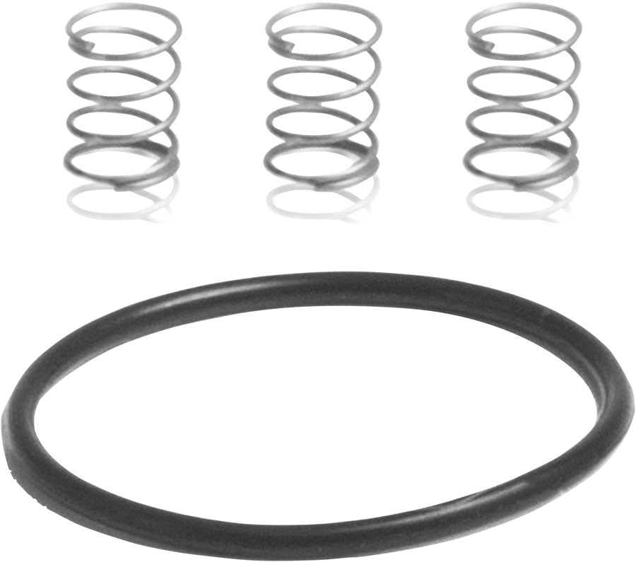 Industry Nine Torch Road Pawl Spring Kit: 3 Springs and 1 1x17mm O-Ring-Goodwynn&#39;sGoodwynn&#39;s