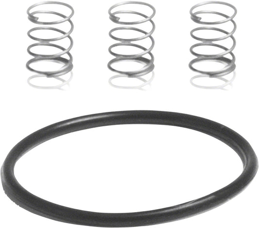 Industry Nine Torch Road Pawl Spring Kit: 3 Springs and 1 1x17mm O-Ring-Goodwynn's