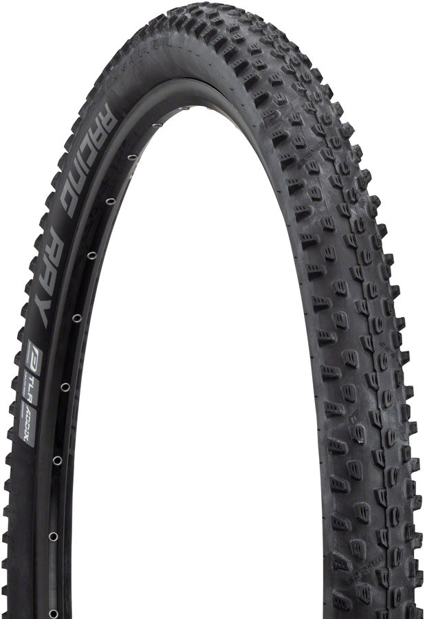 Schwalbe Racing Ray Tire - 29 x 2.25 Tubeless Folding BLK Performance Line TwinSkin Addix-Goodwynn&#39;sGoodwynn&#39;s