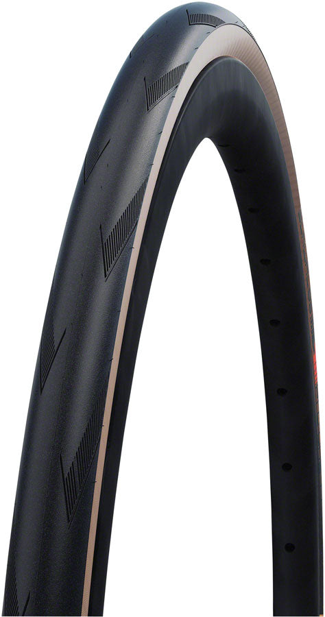 Schwalbe Pro One Tire - 700 x 25 Clincher Folding BLK/Transparent Evolution Super Race Addix Race V-Guard