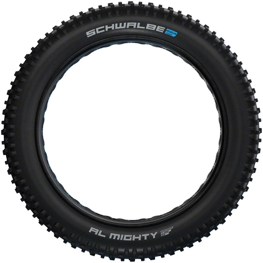 Schwalbe Al Mighty Tire - 26 x 4.8" Tubeless Folding BLK Evolution Line Addix Speed Grip Super Ground E-25-Goodwynn&#39;sGoodwynn&#39;s