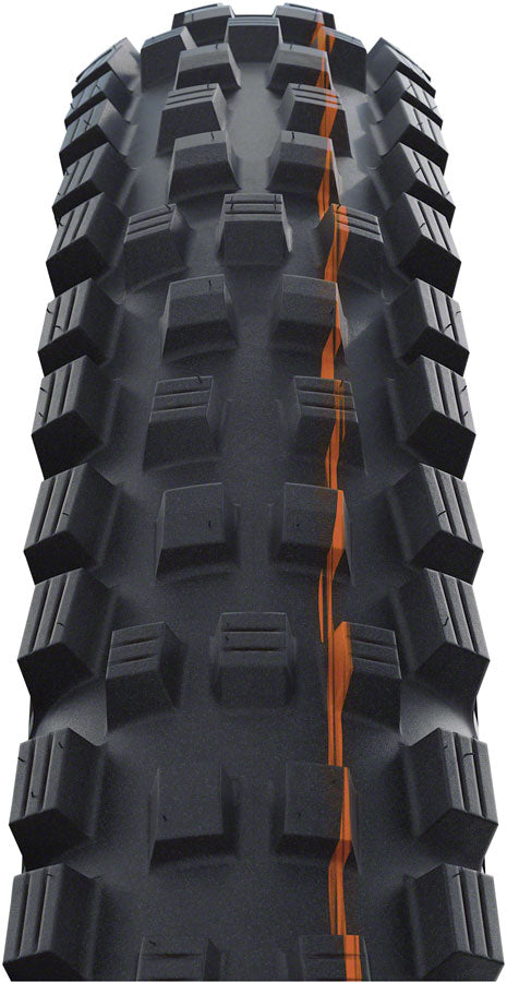 Schwalbe Magic Mary Tire - 29 x 2.4 Tubeless Folding BLK/Bronze Evolution Line Super Gravity Addix Soft-Goodwynn&#39;sGoodwynn&#39;s