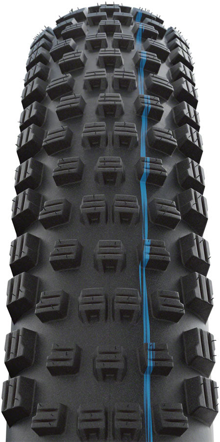 Schwalbe Wicked Will Tire - 29 x 2.4 Tubeless Folding BLK Evolution Line Super Ground Addix SpeedGrip-Goodwynn&#39;sGoodwynn&#39;s