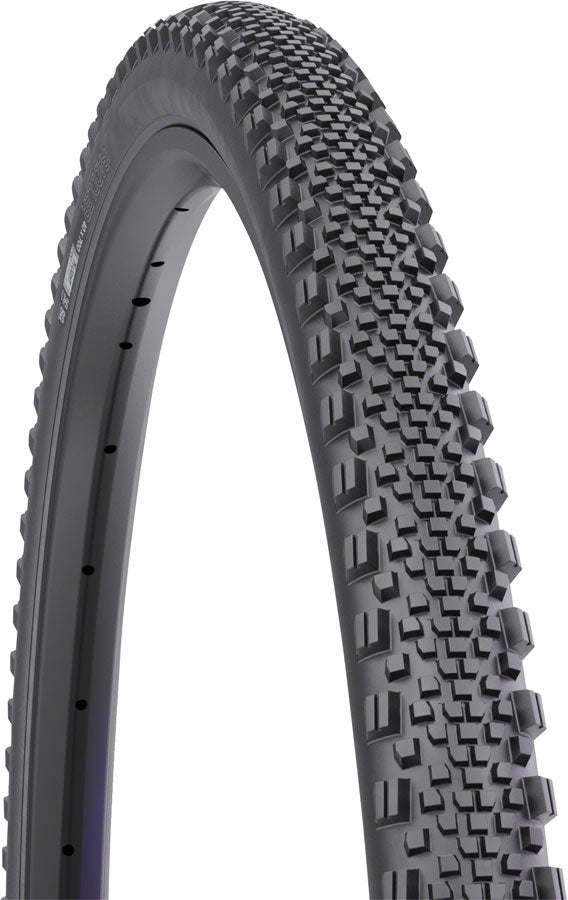 WTB Raddler Tire - 700 x 40 TCS Tubeless Folding BLK Light Fast Rolling SG2