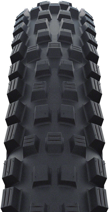 Schwalbe Magic Mary Tire - 29 x 2.25" Tubeless Folding BLK Evolution Line Addix Soft Super Trail