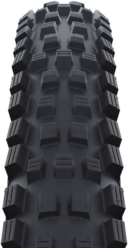 Schwalbe Magic Mary Tire - 29 x 2.25" Tubeless Folding BLK Evolution Line Addix Soft Super Trail