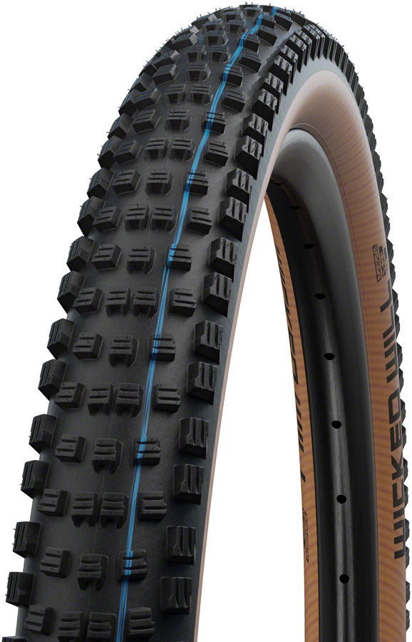 Schwalbe Wicked Will Tire - 29 x 2.4 Tubeless Folding BLK/Transparent Evolution Line Super Race Addix SpeedGrip-Goodwynn&#39;sGoodwynn&#39;s