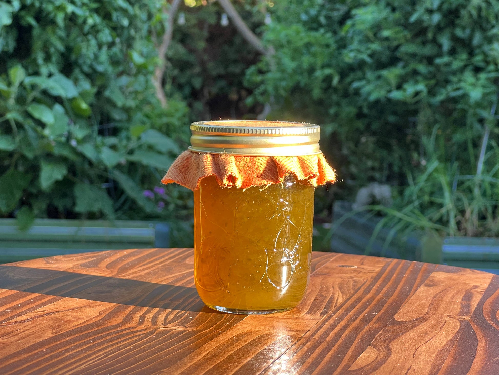 Farmer K Homestead - Jalapeño Pepper Jelly - 8oz-Goodwynn&#39;sGoodwynn&#39;s