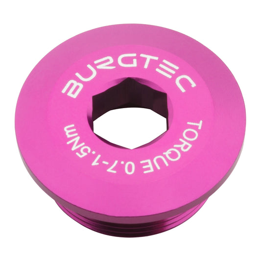 Burgtec Shimano Crank Bolt - Purple Rain-Goodwynn's