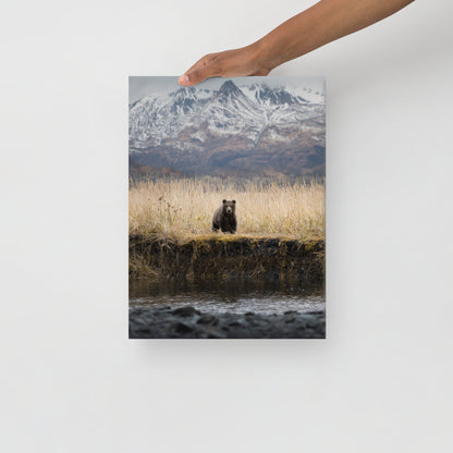 Micheal Foushee - Mountain Bear Canvas