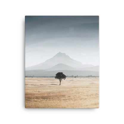 Michael Foushee - Jefferson Tree Print