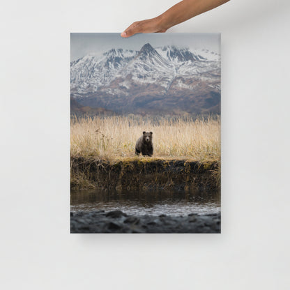 Micheal Foushee - Mountain Bear Canvas