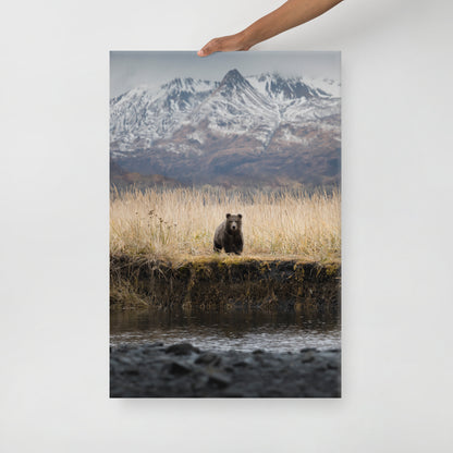 Micheal Foushee - Mountain Bear Canvas