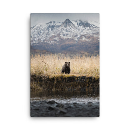 Micheal Foushee - Cub Print