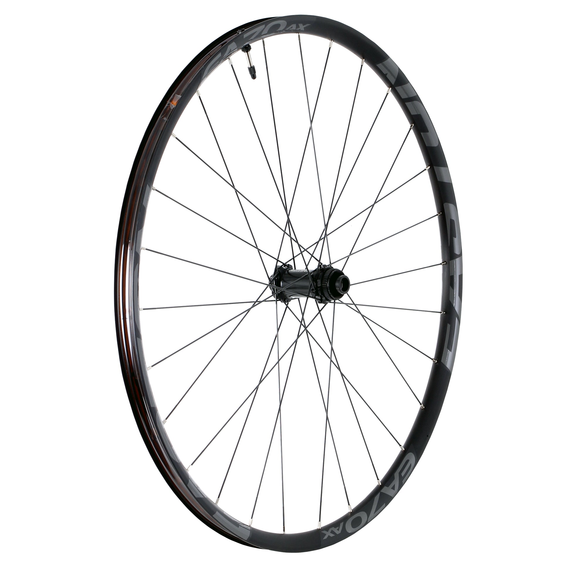 Easton EA70 AX Disc 650b Front Wheel 9x100 QR+15x100 TA-Goodwynn&#39;sGoodwynn&#39;s