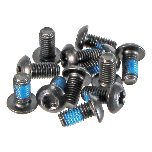 Hayes Brake Torx-T25 Rotor Bolts (12/Pack)-Goodwynn's