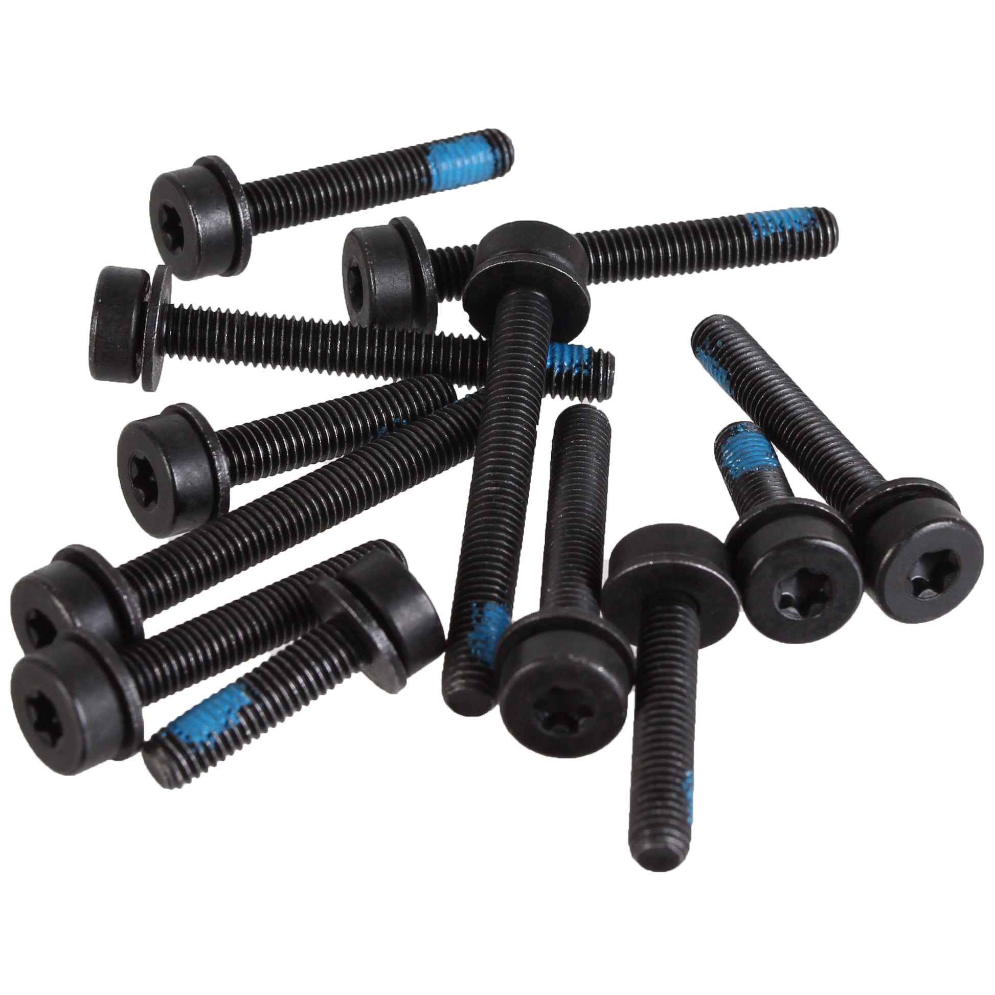 Magura T25 Flat Mount Screw Set Rear -12/Count Kit-Goodwynn&#39;sGoodwynn&#39;s