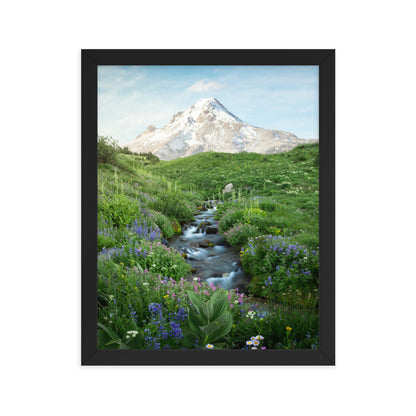 Michael Foushee - Hood Meadows Framed Print