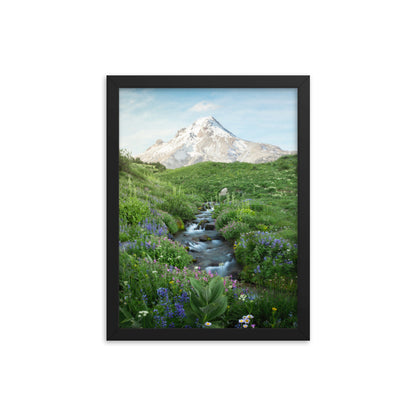 Michael Foushee - Hood Meadows Framed Print