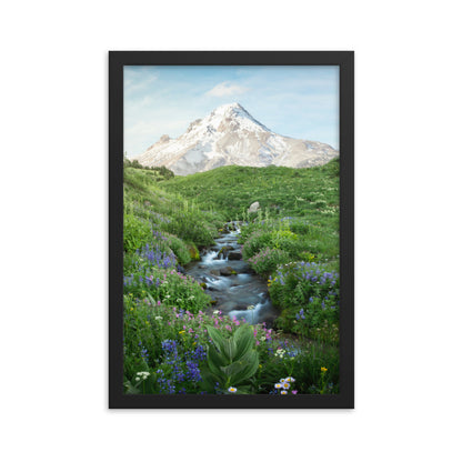 Michael Foushee - Hood Meadows Framed Print