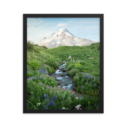 Michael Foushee - Hood Meadows Framed Print