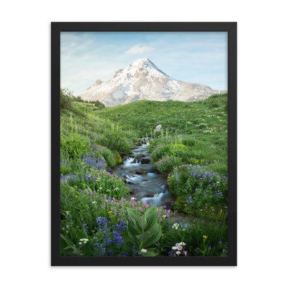 Michael Foushee - Hood Meadows Framed Print