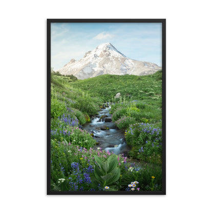 Michael Foushee - Hood Meadows Framed Print